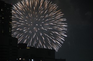 東京湾大華火祭の写真