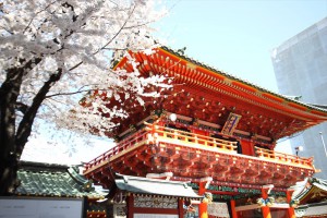 髄神門の横には大きな桜の木が満開の様子