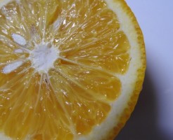 オレンジの輪切りイメージ
